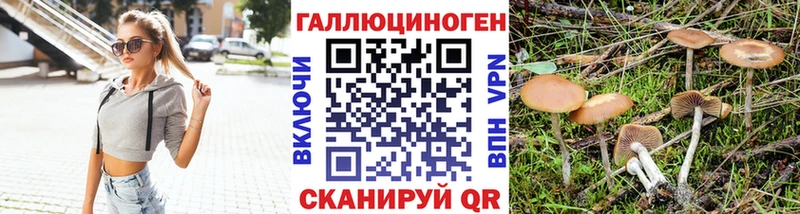 Купить закладки  Нягань  Псилоцибиновые грибы MAGIC MUSHROOMS 